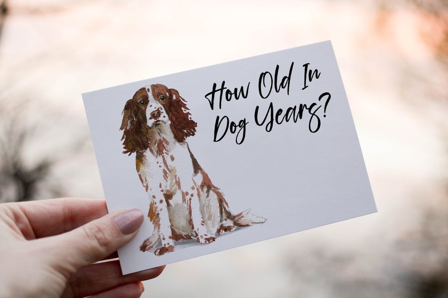 English Springer Spaniel Dog Birthday Card, Dog Birthday Card, Personalized Dog