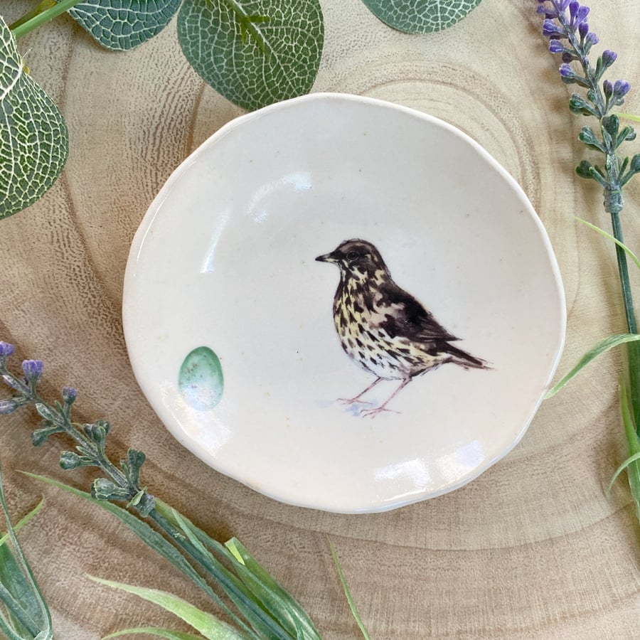 Thrush Handmade Ceramic Dish, Garden Bird Dish - Folksy