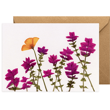 Any Occasion Pressed Flower Print Greeting Card - Salvia