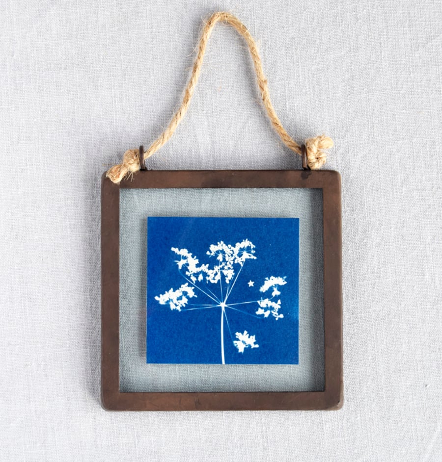 Cow Parsley Cyanotype in industrial style metal and glass square frame