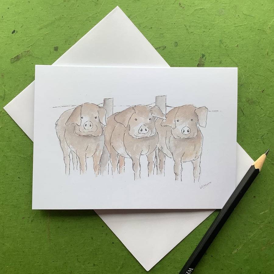 Pigs - greeting card. Blank inside. Farm animals