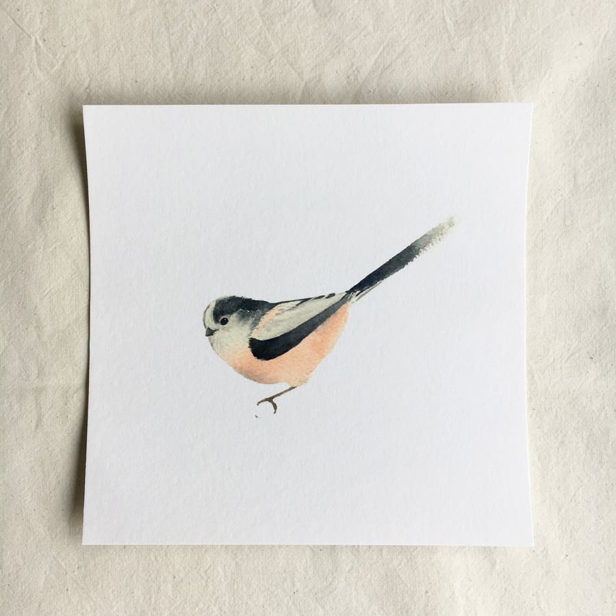 Watercolour long-tailed tit giclée print