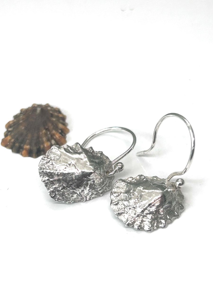 Limpit Love - PMC limpet earrings - hand moulded