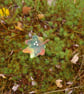 Handmade Felted Wool Leaf Brooch – Autumn Colours - Image 3