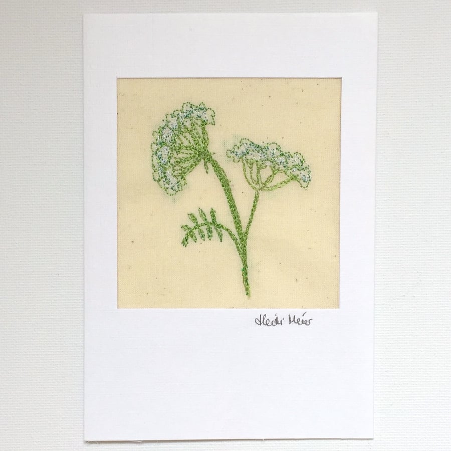 Floral Birthday card - cow parsley flower