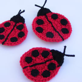 Crochet ladybird