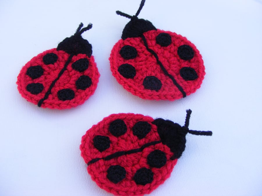 Crochet ladybird