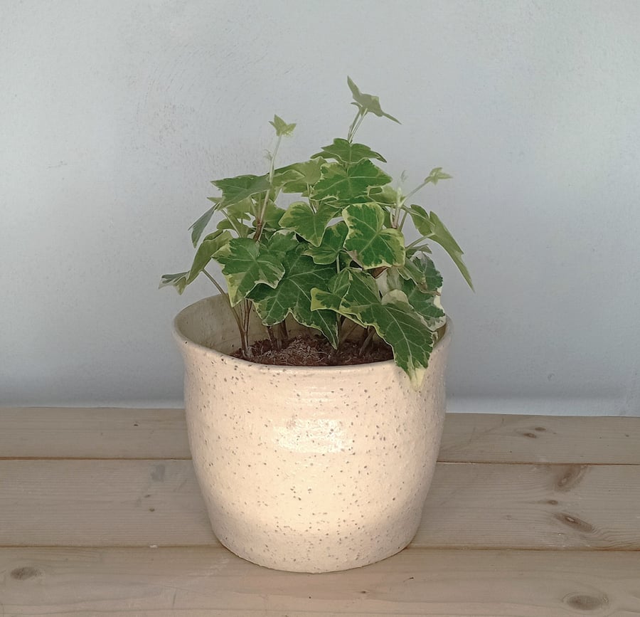 Stoneware bulb indoor outdoor planter