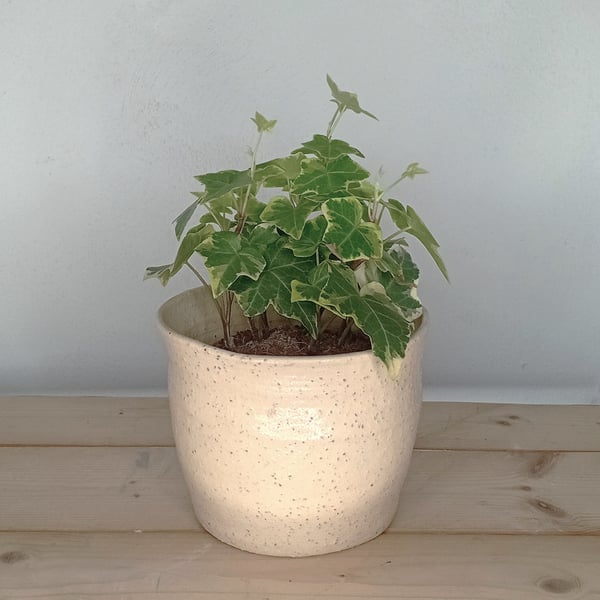 Stoneware bulb indoor outdoor planter