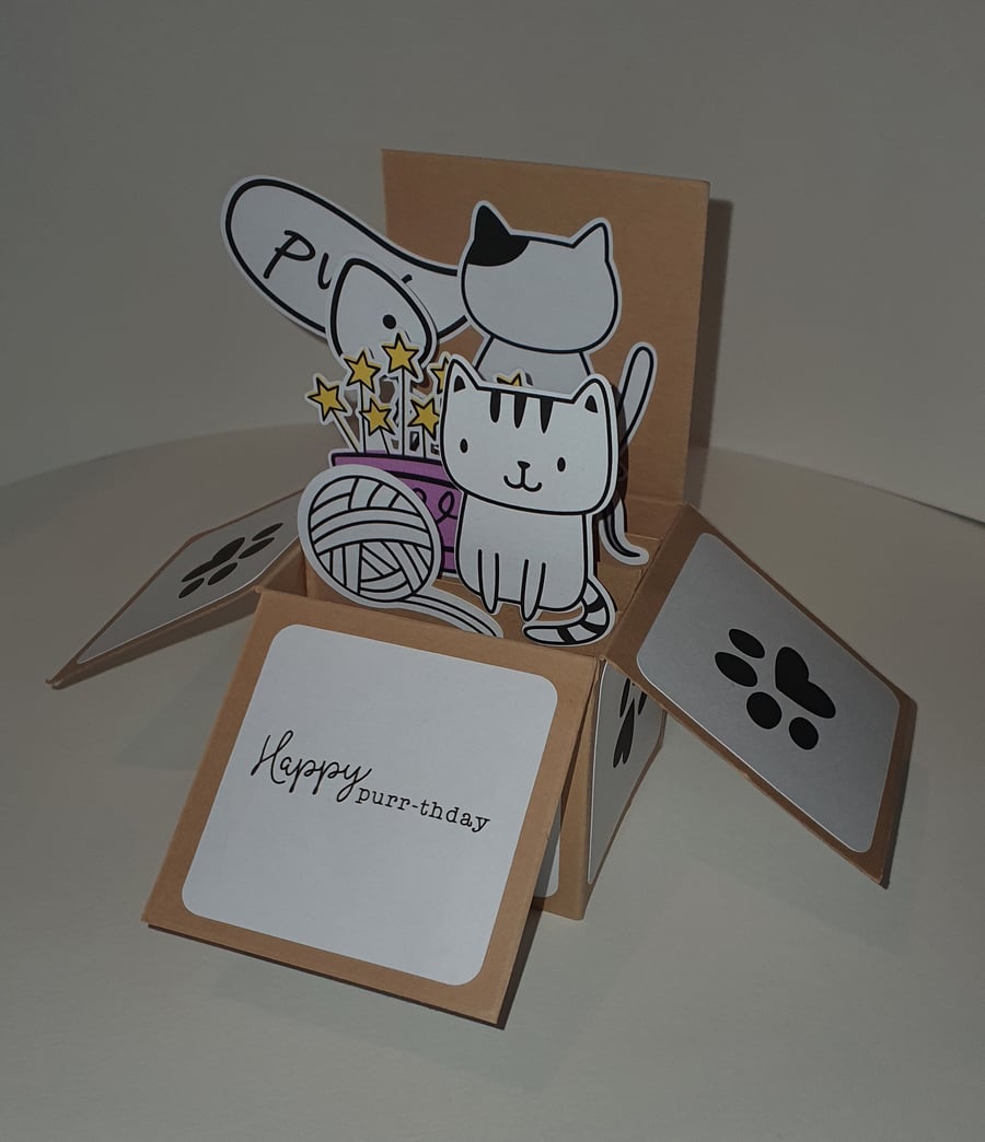 Personalised Birthday Box Card - Cat