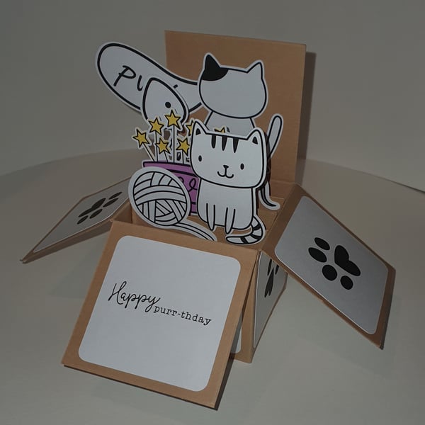 Personalised Birthday Box Card - Cat