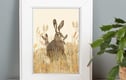 Art Prints
