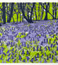 'Bluebell Woods' original screen print - MISPRINT - Image 1