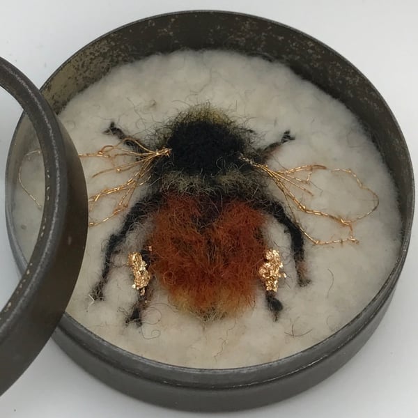 Bee Art - Print of the Bilberry Bumblebee - exhibition quality 