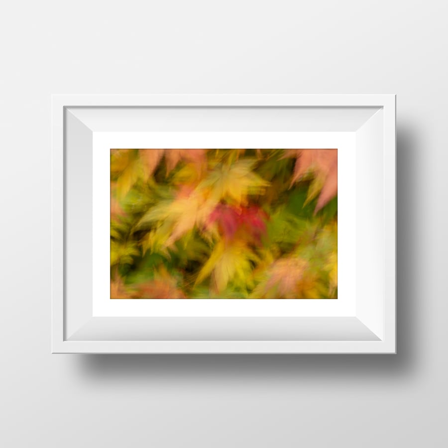 Autumn - Fine Art Photography Print