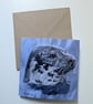 Grey Seal Embroidery Art Greeting Cards - Image 2