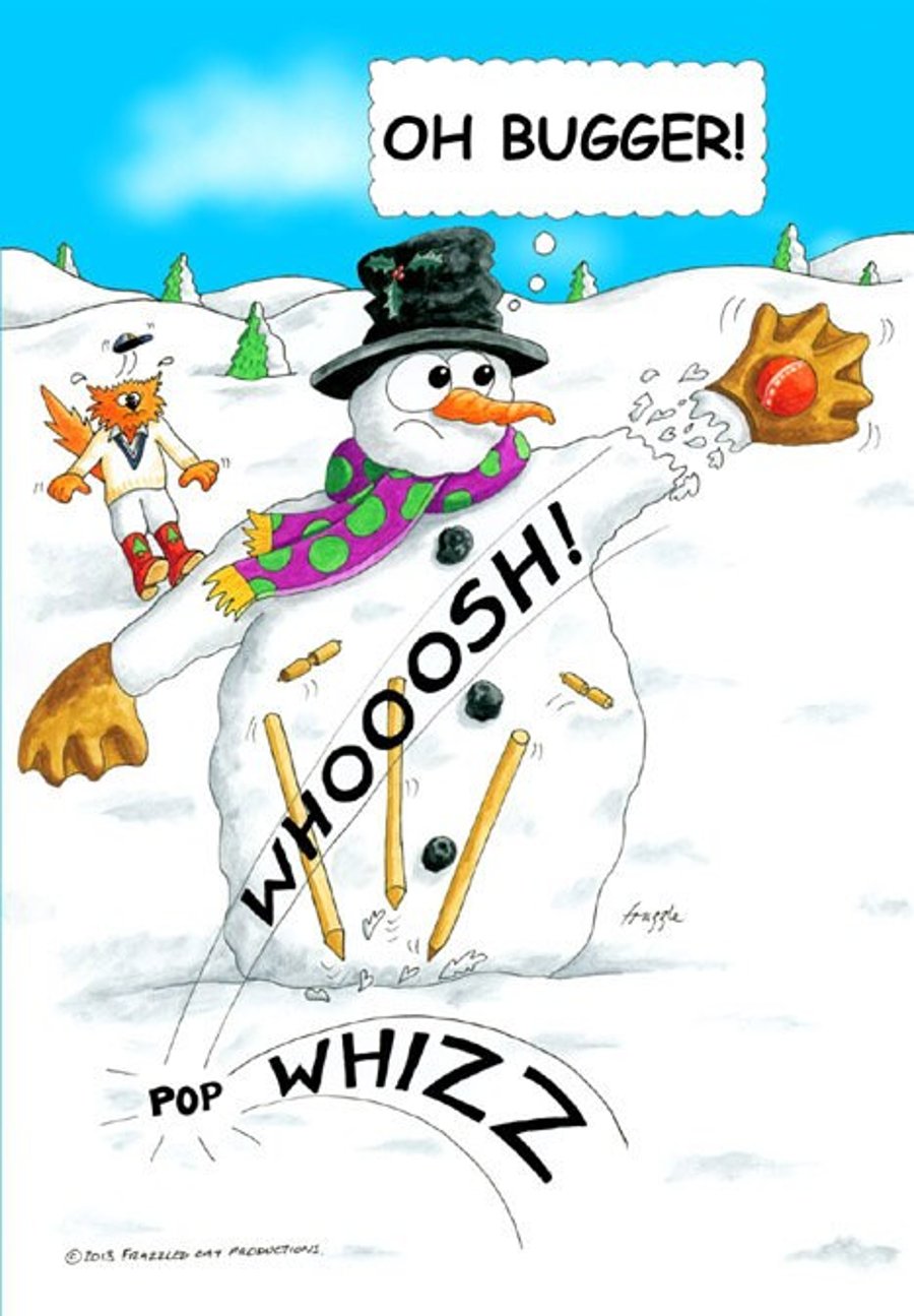 Cricket Christmas card.. CATCH!...Funny wicketkeeper cartoon card   FREE UK P&P