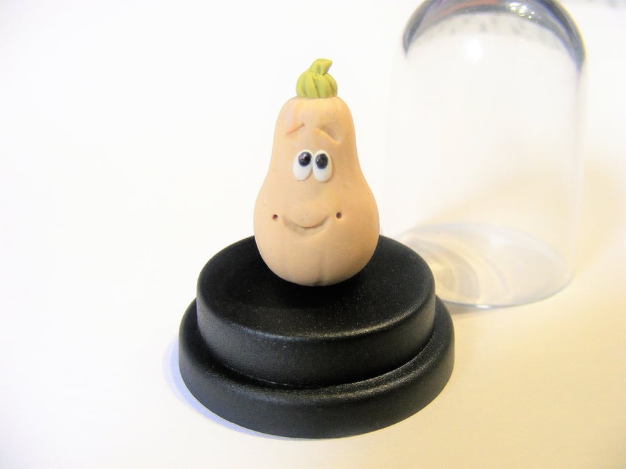 Pet Butternut Squash, Vegetarian gift