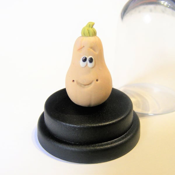 Pet Butternut Squash, Vegetarian gift