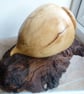 DECORATIVE OAK BURR AND SYCAMORE WOODEN  SCULPTURE - Image 5