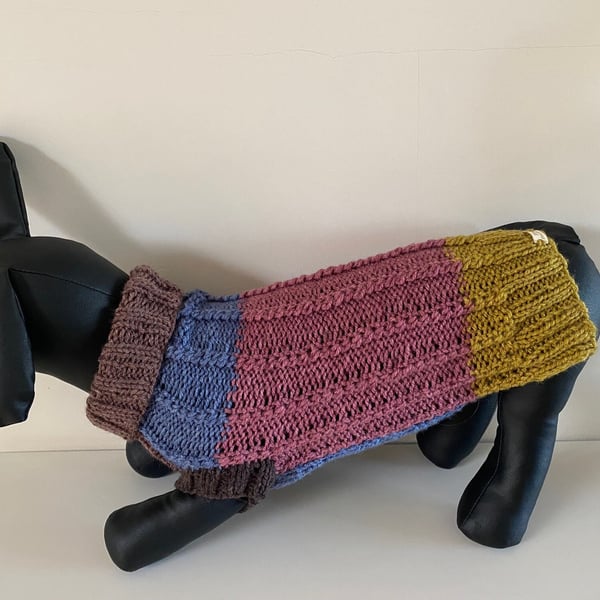 Dog Jumper - Ideal for a Miniature Dachshund or Small Dog