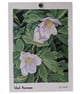 Oil painting mini print  - Image 4