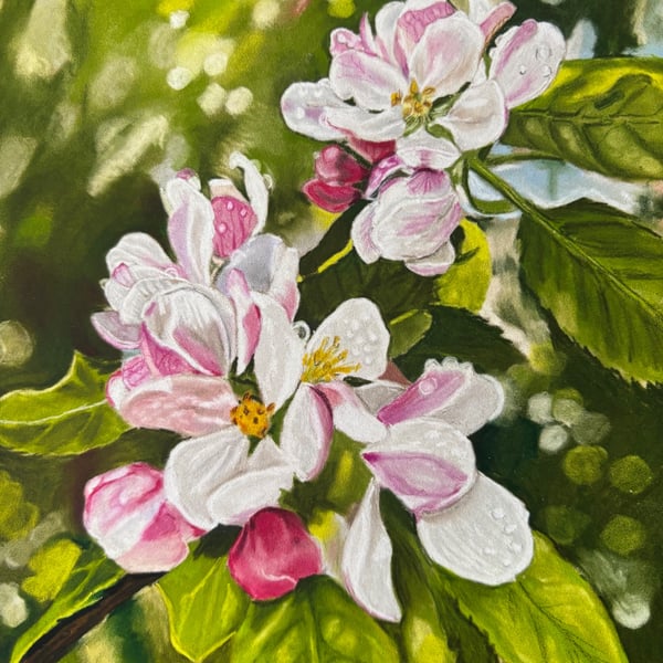 Apple blossom print 