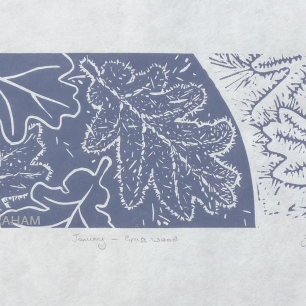 January - Grass Woods - Purple