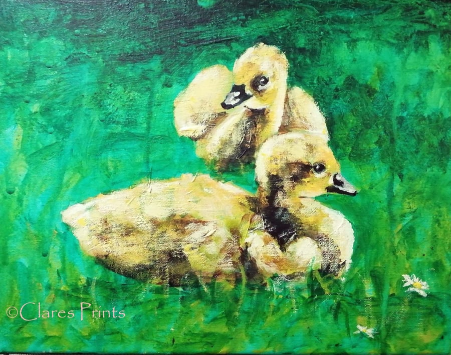 Gosling Art Original Acrylic Painting on Canvas OOAK Bird
