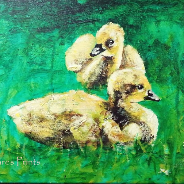 Gosling Art Original Acrylic Painting on Canvas OOAK Bird