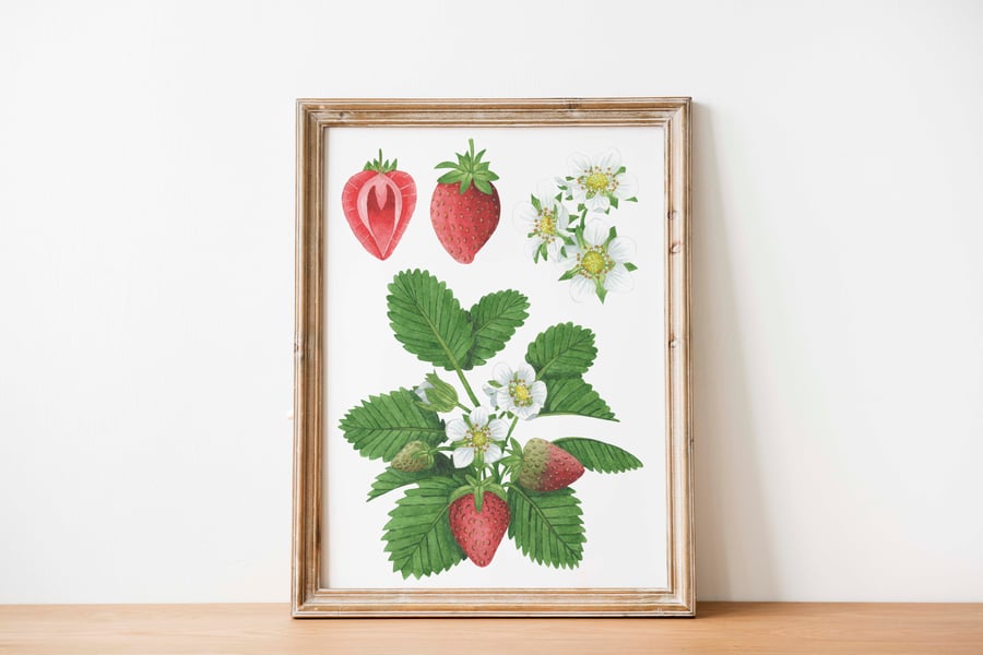 A5 strawberry watercolour art print
