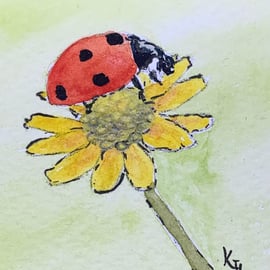 watercolour of a ladybird on a flower - ACEO - free UK postage 