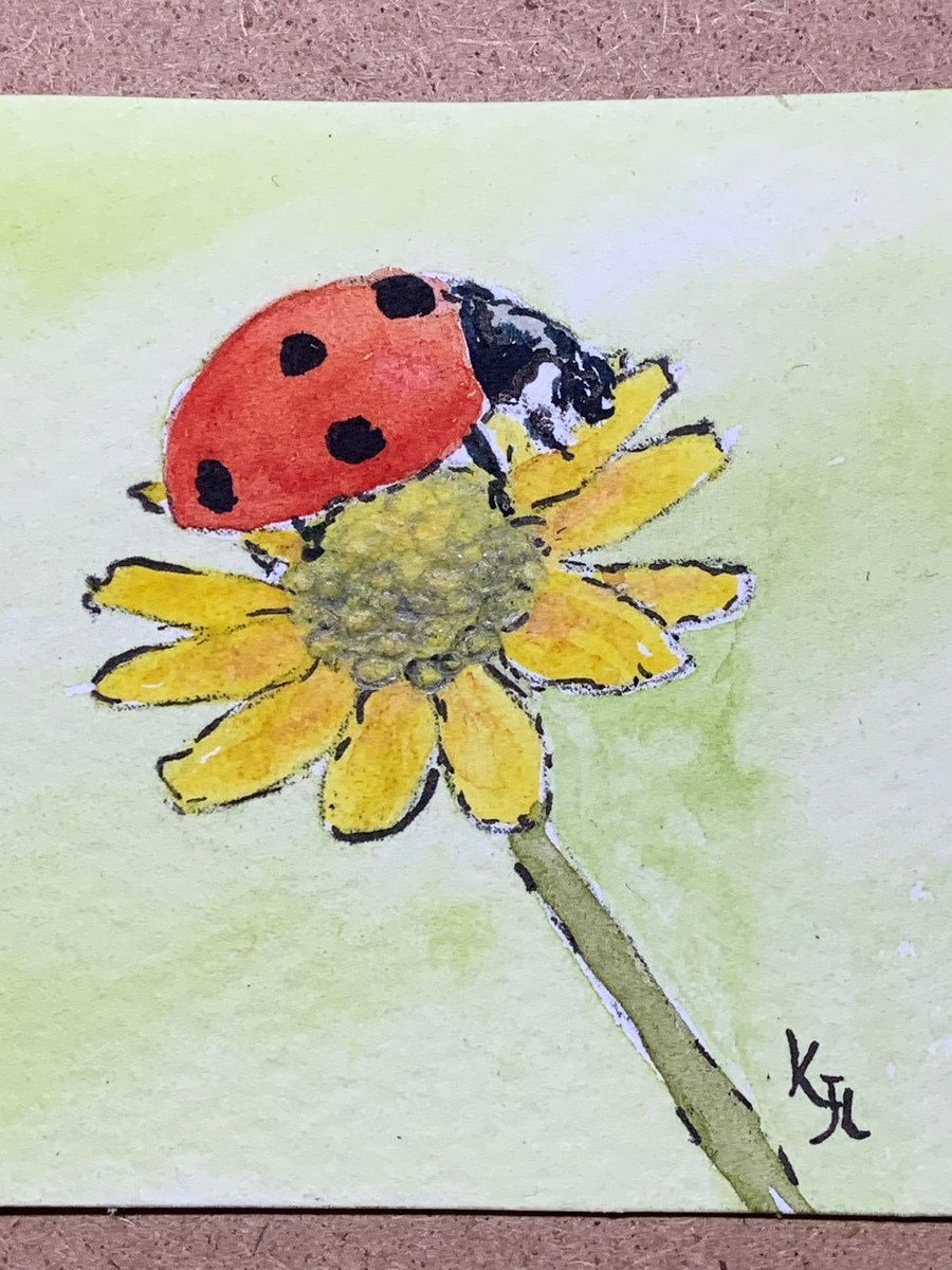 watercolour of a ladybird on a flower - ACEO - free UK postage 