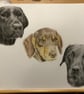 A3 Custom pet portrait for three pets made with coloured pencil - Image 4