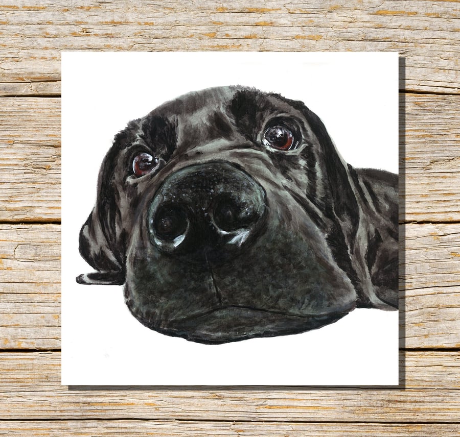 Black Labrador Card, Retriever Puppy Greeting Card, Dog Card, Greetings Card