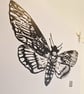 Death Moth in Black - Original Lino Print - Image 2