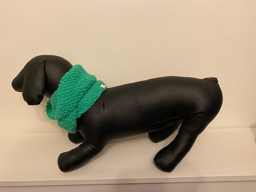 Small Neck Schnoodle the alternative to a Scarf