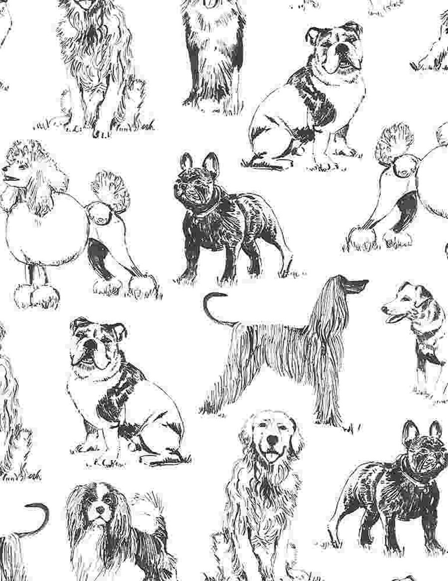 Fat Quarter Sketched Dogs 100% Cotton Quilting Fabric - Timeless Treasures