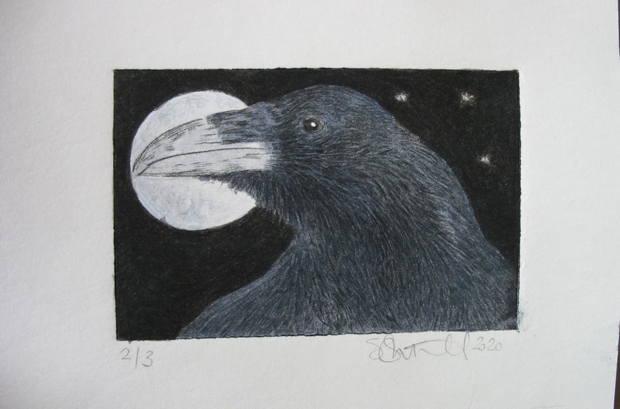 Sweet little raven drypoint etching and watercolour