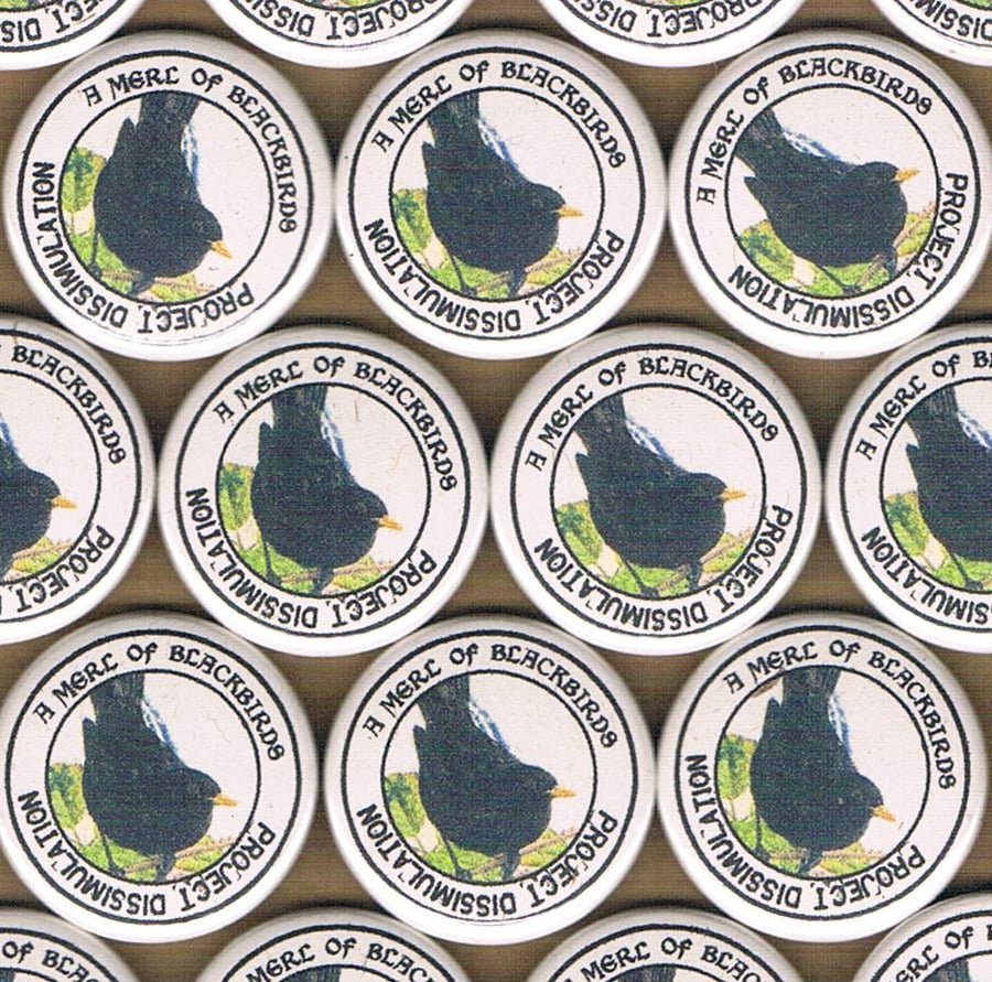 A DISSIMULATION of BIRDS Vol 1 - Pinback button badge, sale for charity