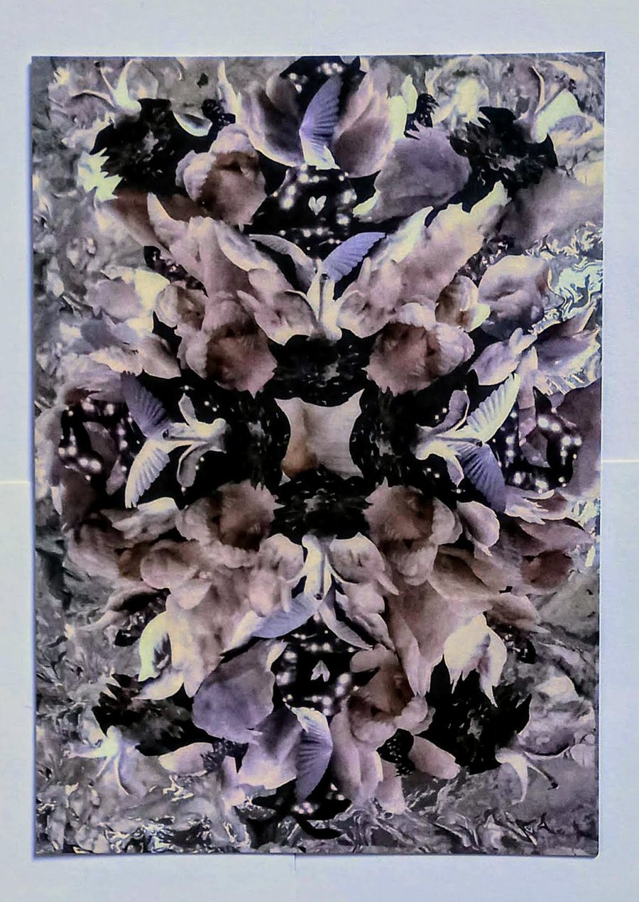 Swan Card 'Little Wing'  A5 Blank Card (matt)