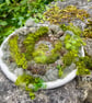 Moss Hand Woven Circular Wall Hanging - Image 6