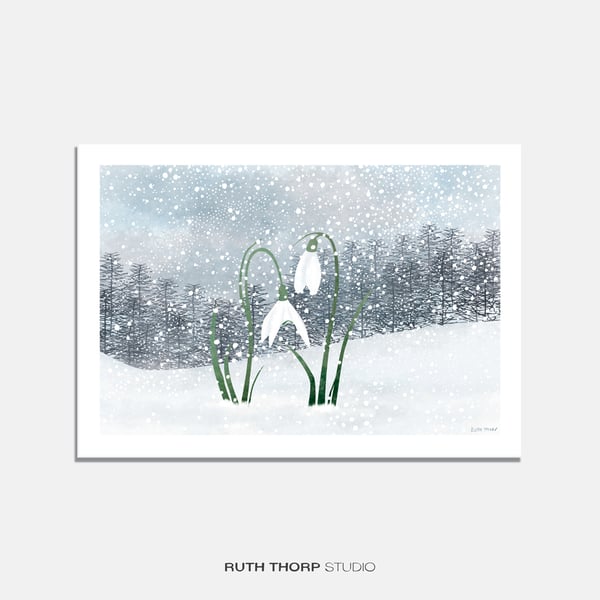 Snowdrops Illustrated Art Print