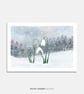 Snowdrops Illustrated Art Print - Image 1
