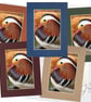 CJ050 - Mandarin Duck - Image 1