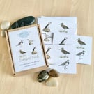 Shetland Birds Set of 8 A6 Folded cards with envelopes in Gift box
