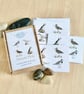 Shetland Birds Set of 8 A6 Folded cards with envelopes in Gift box