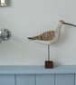 Curlew  - Image 2