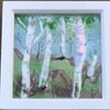 Fused glass silver birch with dichroic glass 