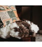 Natural wool felted seat-pad and or a mat for a cat or a small dog   - Image 6